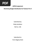 Marketing Budget Distribution For Pantene - Individual Assignment