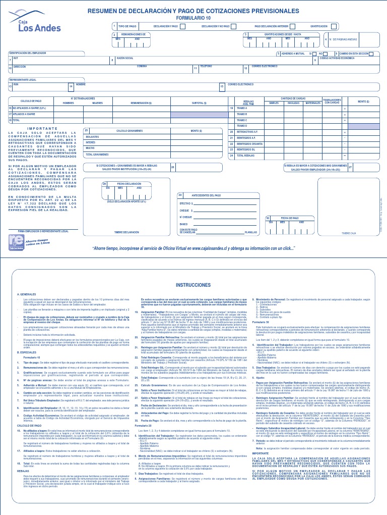 Instrucciones Formulario 10 Caja Andes | PDF | Salario | Labor