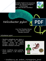 Helicobacter pylori: bactéria causadora de gastrite e úlcera