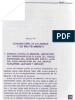 Tema Viii PDF