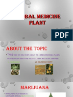 Herbal Medicine Plant