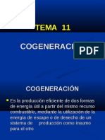 Cogeneracion Expo