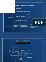 Diapositivas Audición