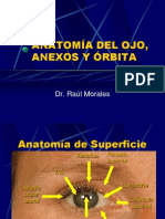 Anatomia y Embriologia Del Ojo[1]