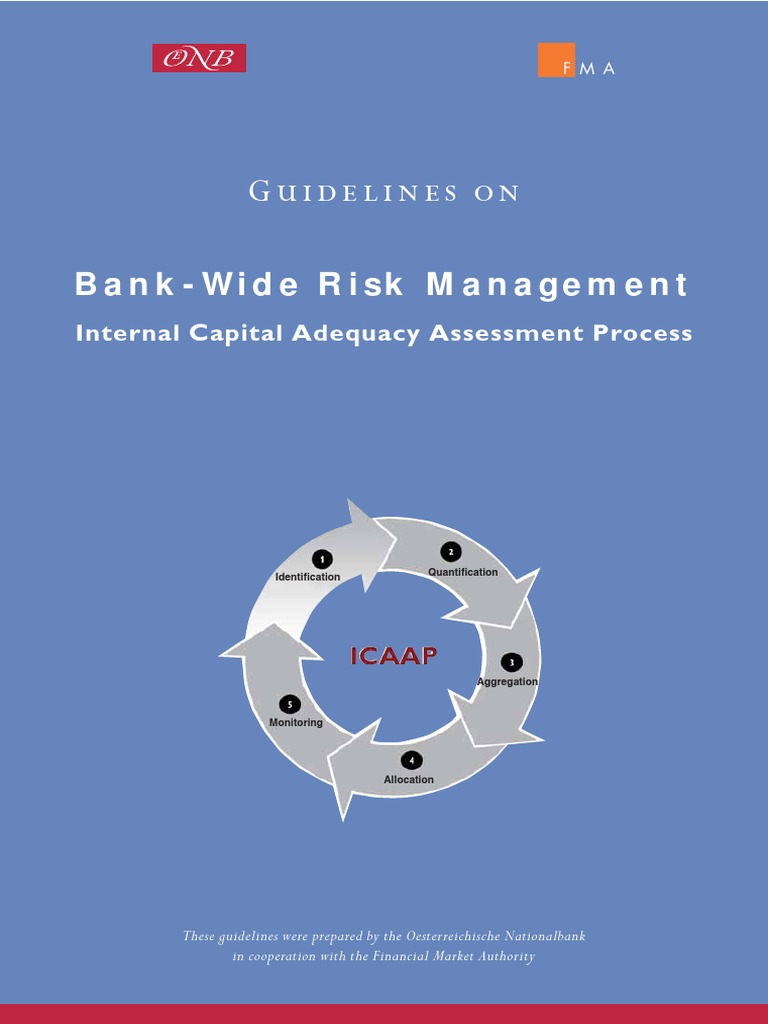 ICAAP PDF Basel Ii Capital Requirement