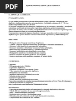 El Lenguaje Algebraico