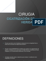 Cicatriz