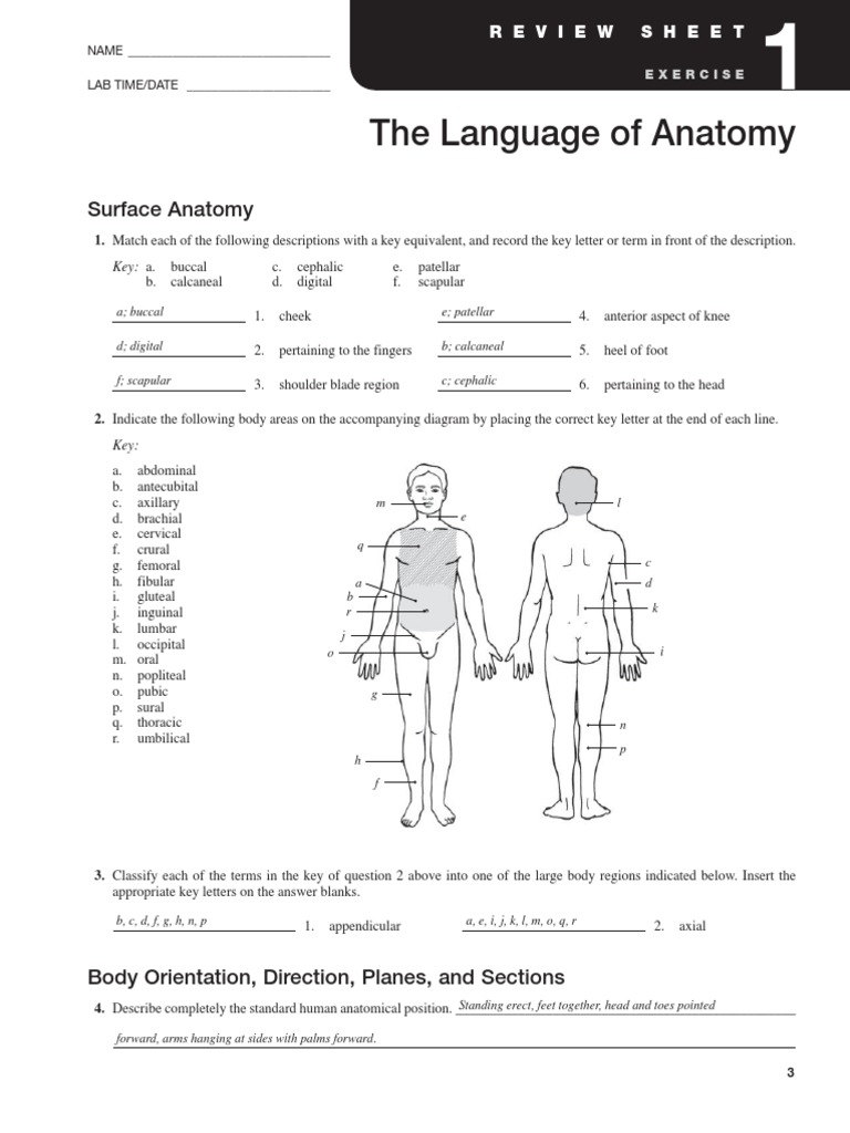 Exercise 1 Language of Anatomy | Anatomical Terms Of ...