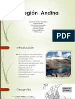 Región Andina