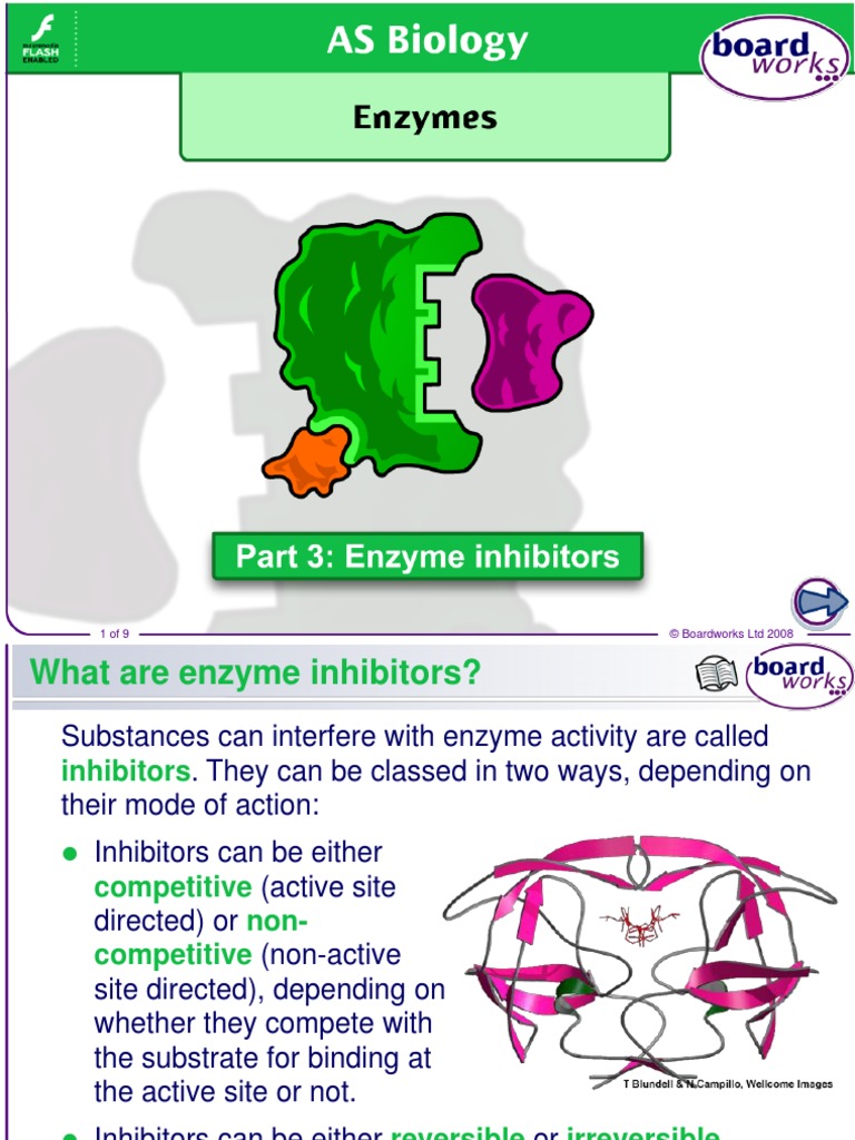 Unit C Enzyme Inhibitors | PDF | Enzyme Inhibitor | Drugs