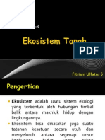 Ekosistem Tanah