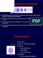 RBC Maturation