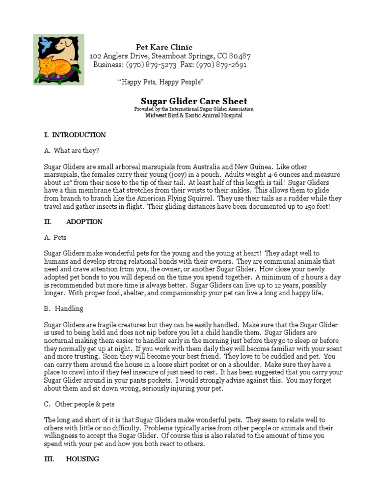 PKC Sugar Glider Care Sheet Food And Drink Food & Wine