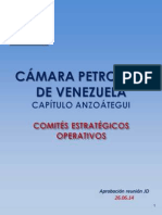 CPV Capítulo Anzoátegui - Comités Estratégicos