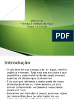 Projeto - Terra É Fundamental