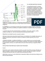 El Sistema Nervioso Central