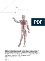 Fatouh - 3er Ano - Sistema Circulatorio - Apunte Teorico - 2009