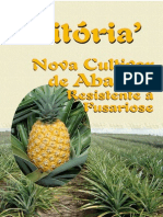Folder Abacaxi Vitória