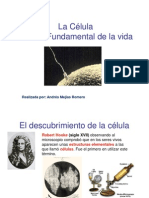 CELULA-3.ppt