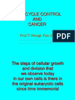 Cell Cycle Control & Cancer