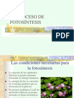 Fotosintesis.ppt