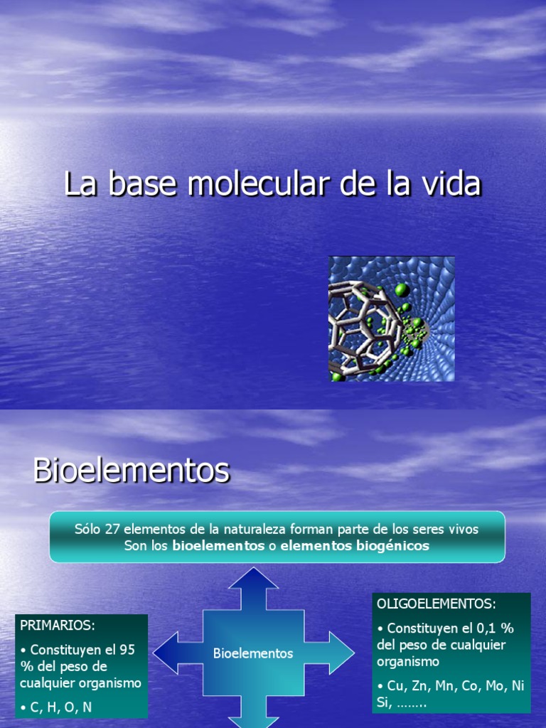 La Base Molecular Y Fisicoquímica De La Vida