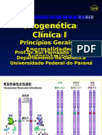 02 Aberrações Numéricas Dos Cromossomos