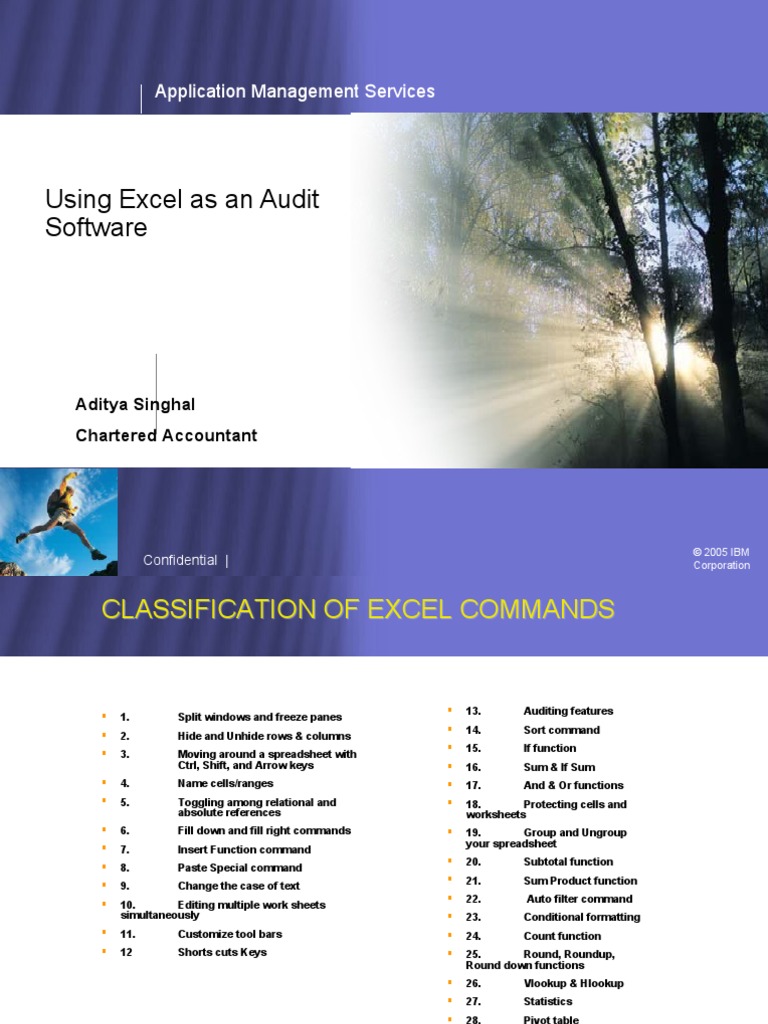 Using Excel As An Audit Software: Application Management Services | PDF ...