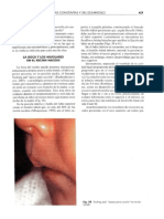 La boca y los maxilares en el recien nacido.pdf