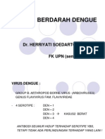 Demam Berdarah Dengue - 2