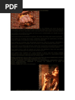 ORAÇAO FORTISSIMA.docx