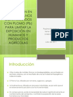 Remediación en Suelos Urbanos Contaminados Con PB para