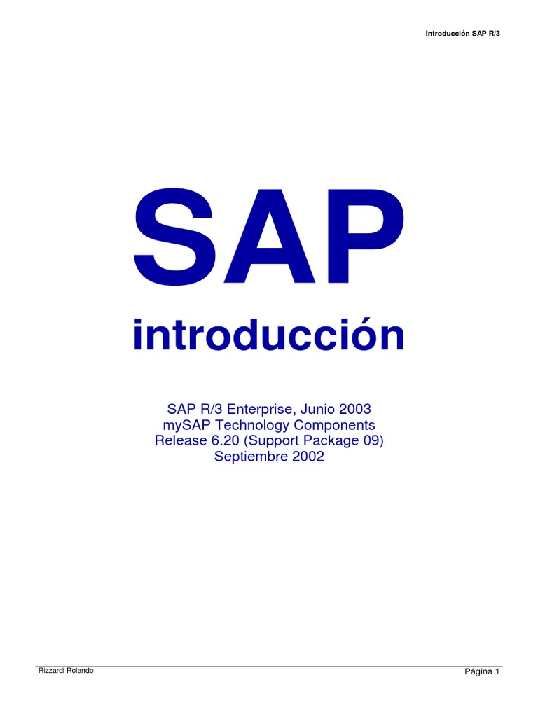 Sap r3 Manual | PDF