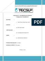 Transporte Marajulia Informe