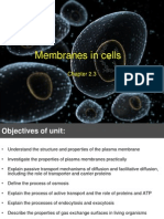 Membranes in Cells