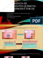 La Diferencia de Componentes Químicos de Un Reproductor