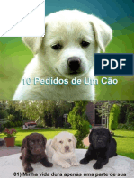 10_Pedidos_De_um_Cao