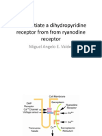 Differentiate A Dihydropyridine Receptor From From Ryanodine Receptor - Migs Valdez