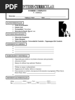 FORMATO MODELO EJEMPLO DE RESUMEN CURRICULAR PARA RELLENARLO