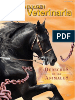 Derechos de Los Animales