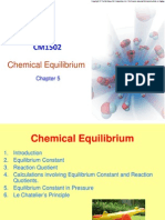 CM1502 Chapter 5 Chemical Equilibrium