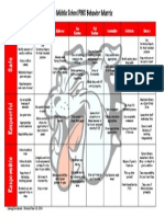 Pbis Matrix 6-10-14