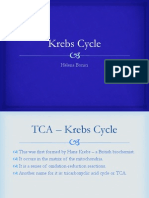 Krebs Cycle