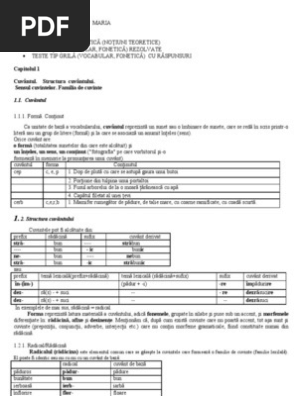 Vocabular Semantica Teorie Exercitii