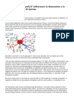 L'uso di Marijuana può influenzare la dimensione e la forma degli uomini di sperma