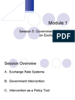 Lecture Class - 5 - Government and Exchange Rate