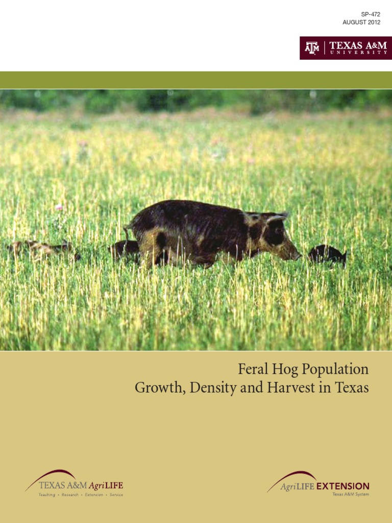 Feral Hog Population Growth Density and Harvest in Texas PDF Pig