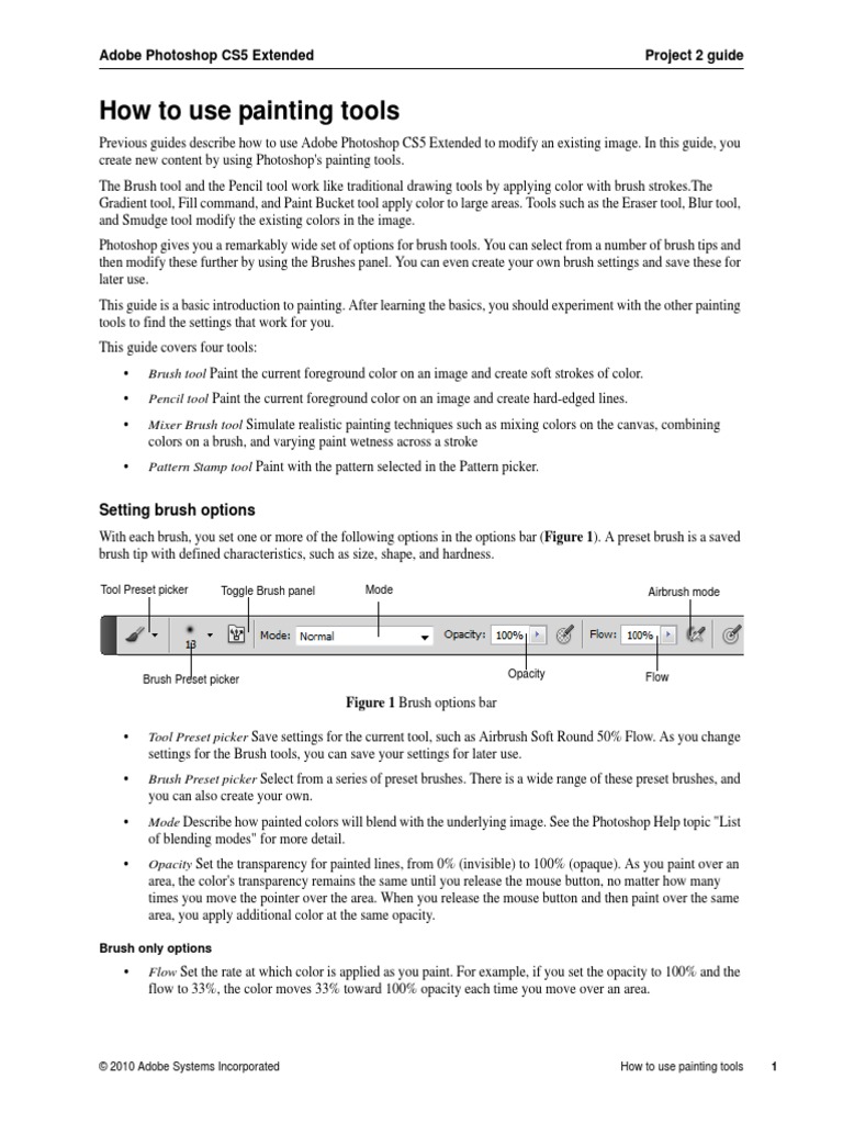 How To Use Painting Tools Adobe CS5 Extended Project 2 Guide