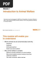 M1 P Introduction to Animal Welfare