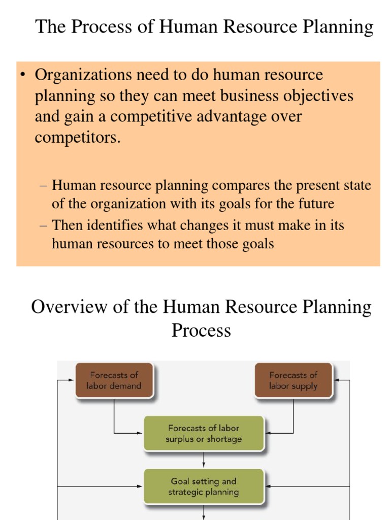 Man Power Planning Process | PDF